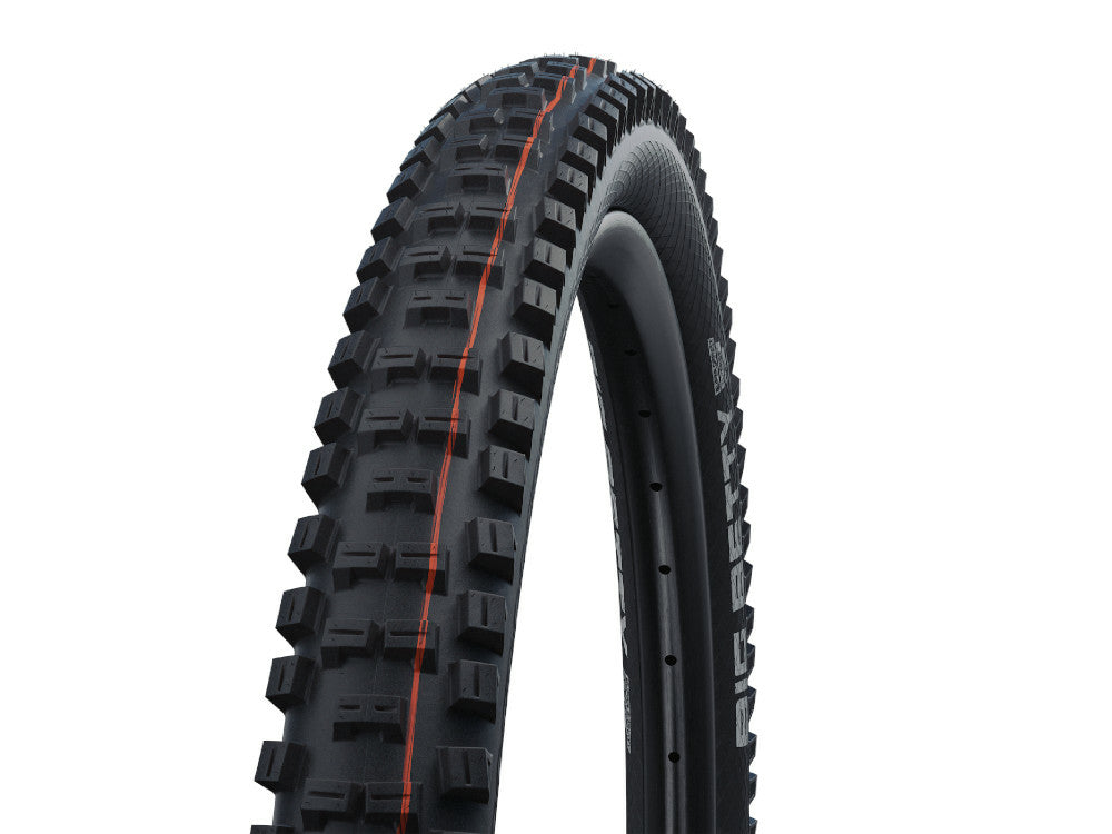 Schwalbe Big Betty Evolution 29