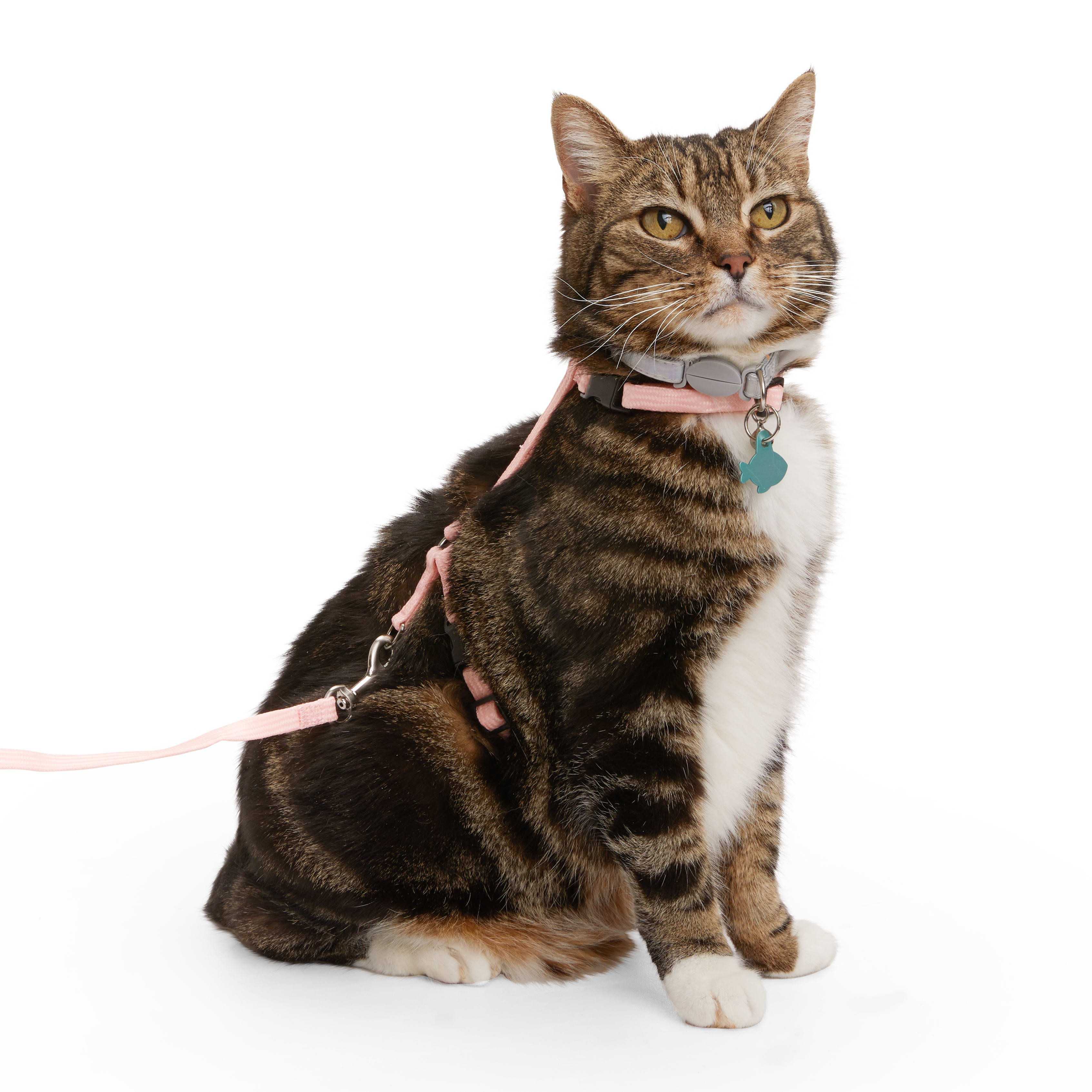 YOULY Pink Glow in the Dark Cat Harness  Lead