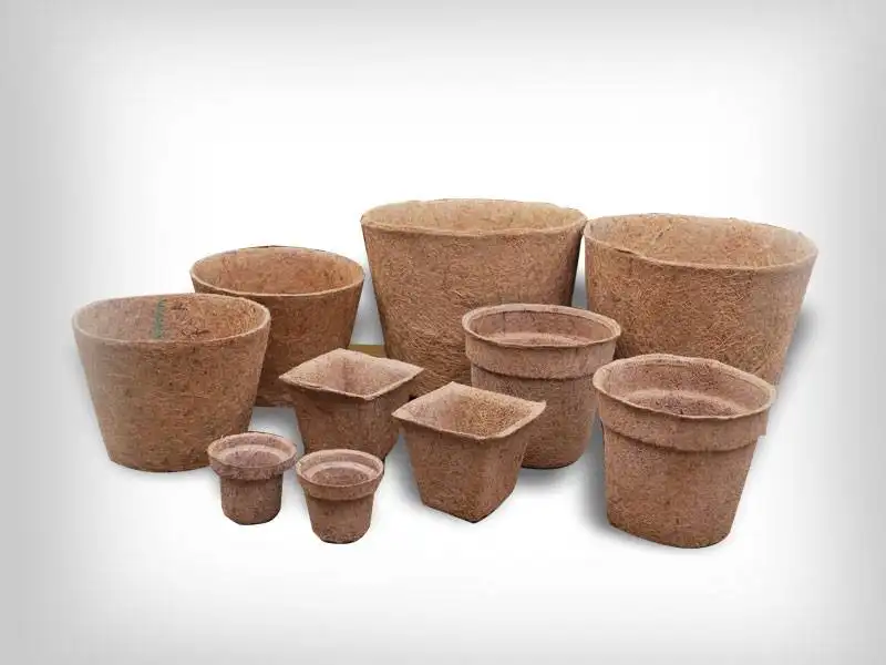 Quality Compressed CocoCoir Pots The Natural Alternative for HealthyPlant Growth Growing Green Coconut Husk Pots for Your Garden