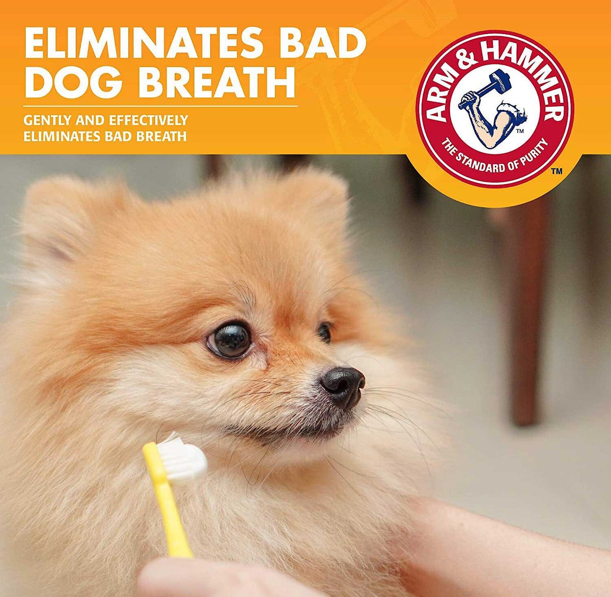 Arm and Hammer Fresh Breath Chicken Flavored Enzymatic Dog Dental Kit