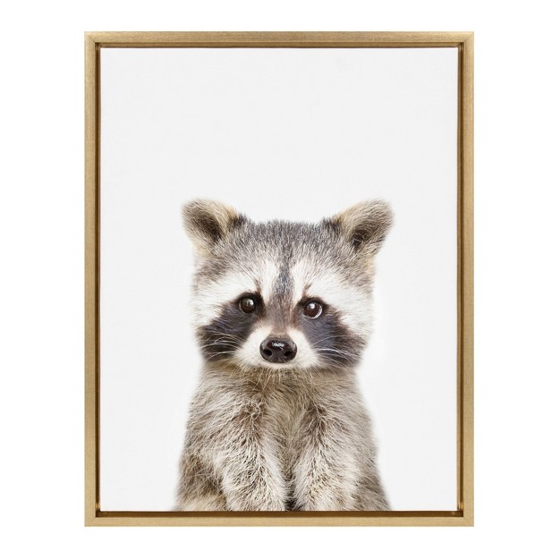 X 24 quot Sylvie Raccoon Framed Canvas By Amy Peterson Gold Kate amp Laurel All Things Decor