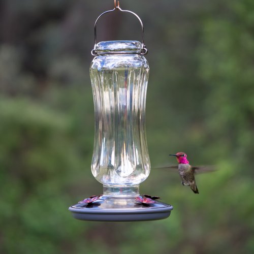 Perky-Pet Clear Starglow Vintage Glass Hummingbird Feeder - 16 oz