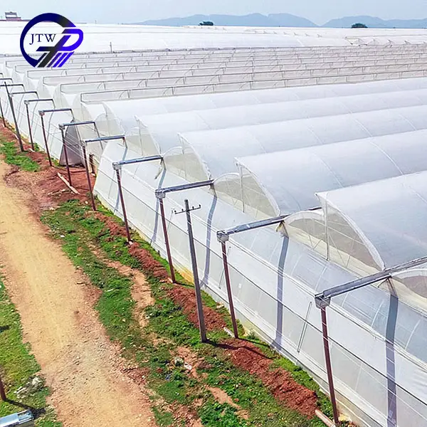 Winter Greenhouse System Supply Greenhouse Tunnel For Agriculture