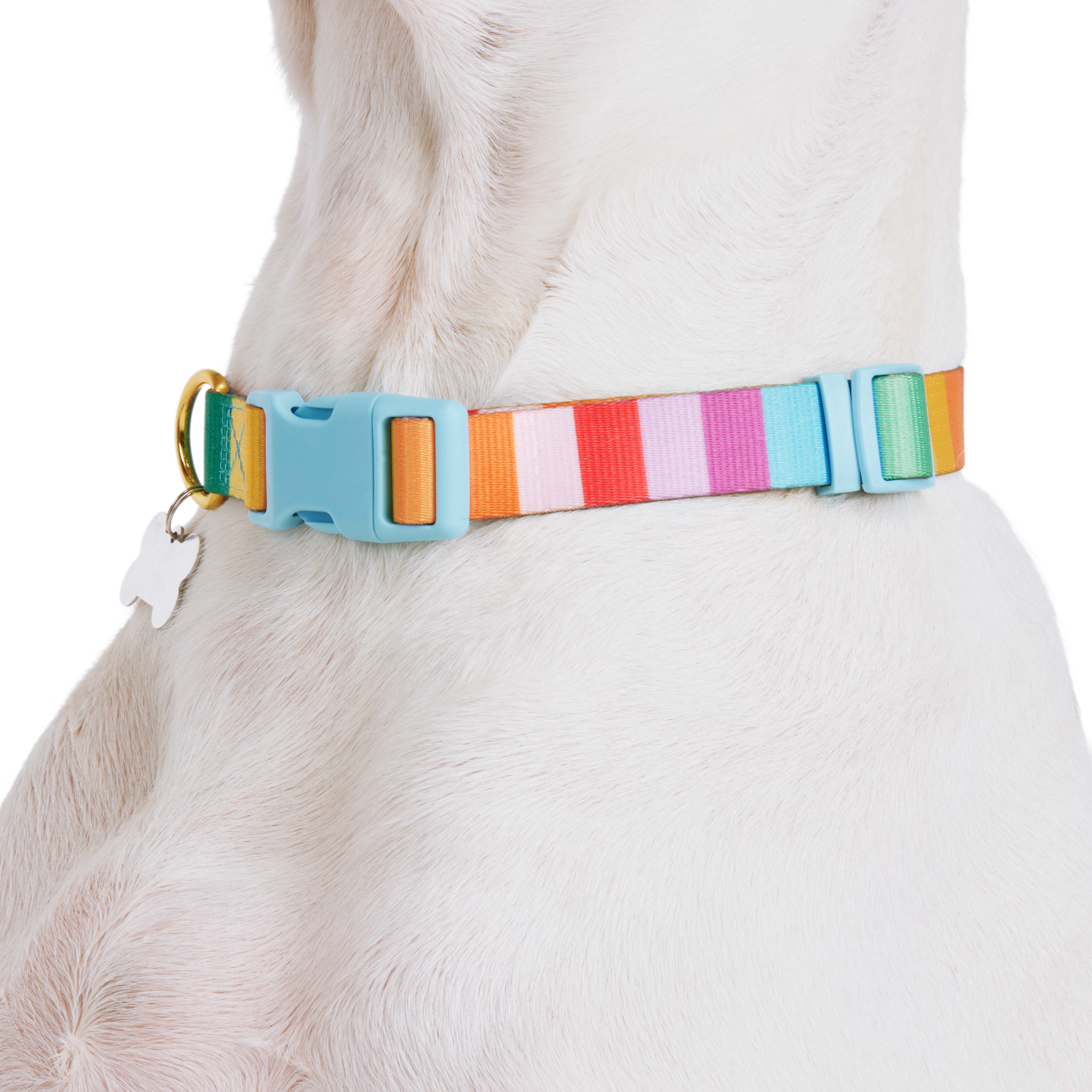 YOULY Rainbow Stripe Dog Collar， X-Small/Small