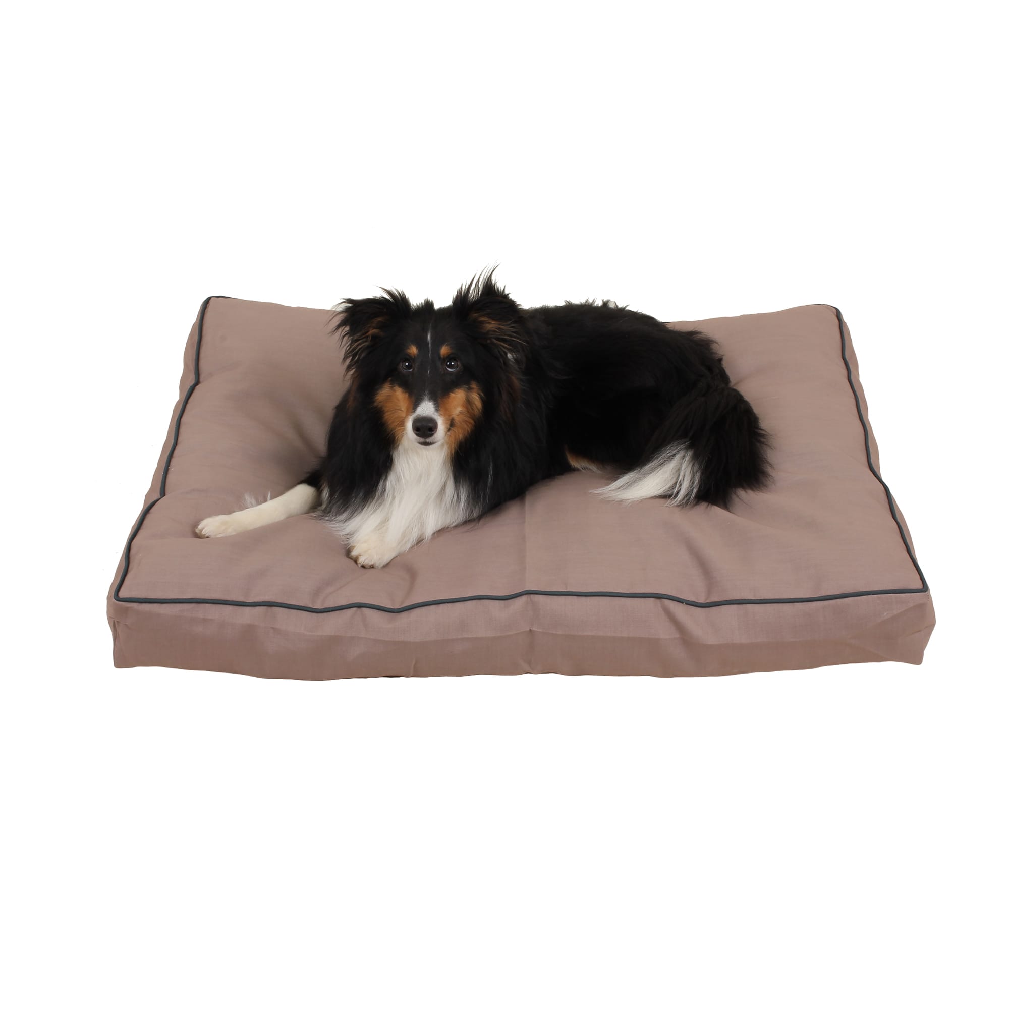 Carolina Pet Company Indoor Outdoor Jamison Faux Gusset Dog Bed， 36