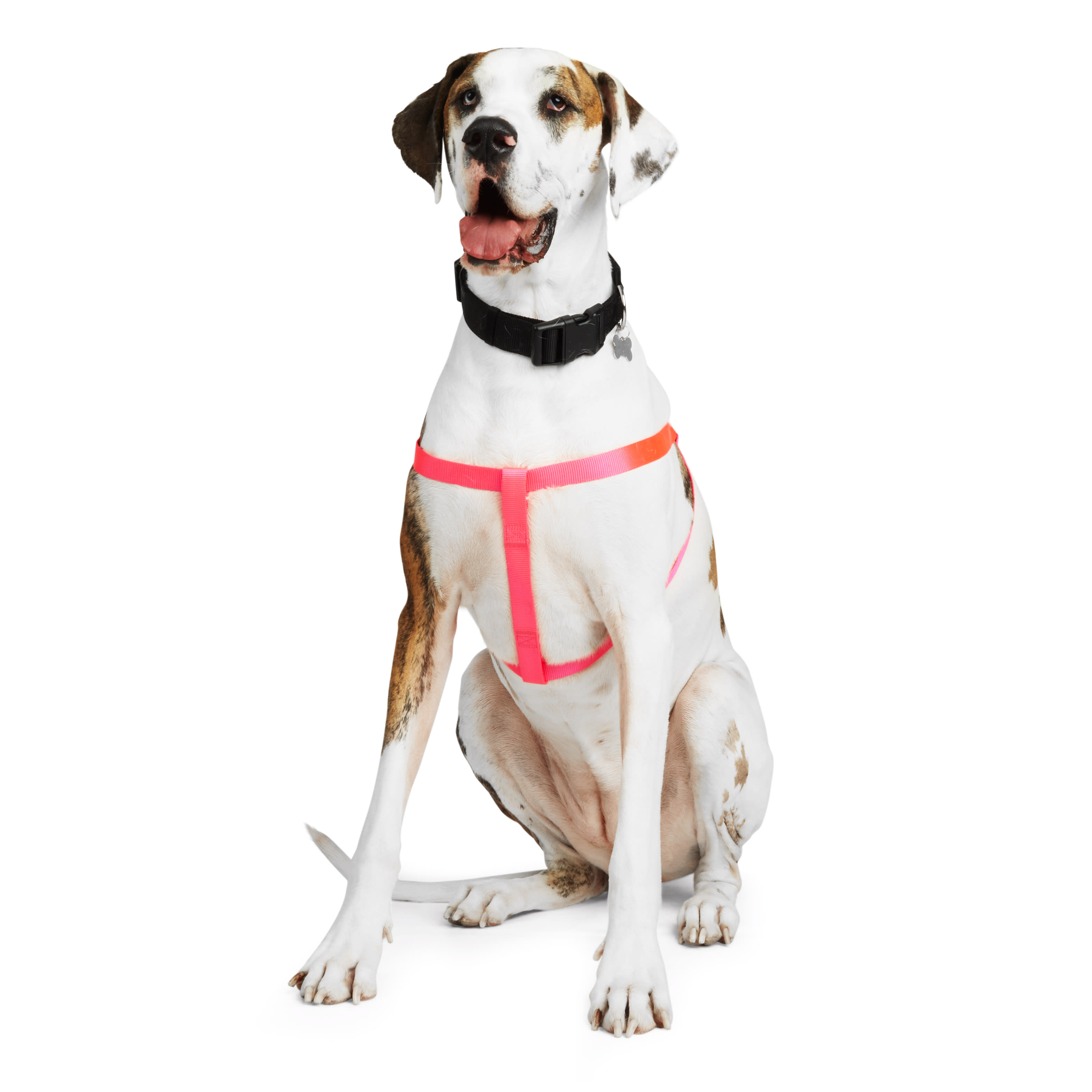 YOULY WEBB Pink Dog Harness， Small