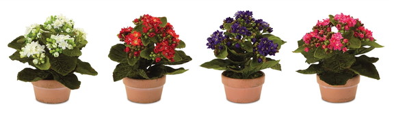 Melrose 54660DS Kalanchoe w/Pot (Set of 4) 7H Pol...