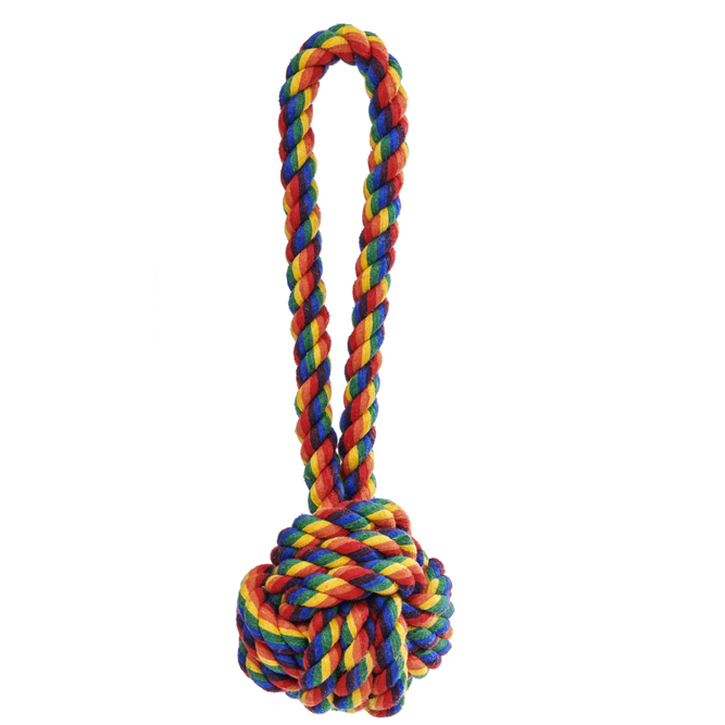 Rainbow Celtic Knot Rope Toy