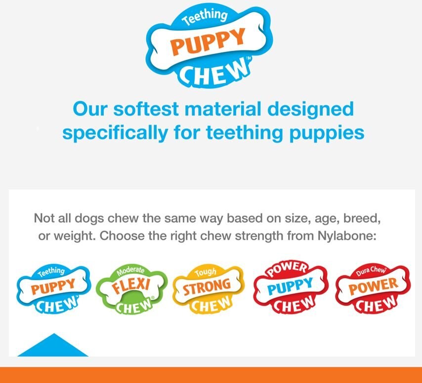 Nylabone Puppy Chicken Flavored Teething Dinosaur Puppy Chew Toy， Petite