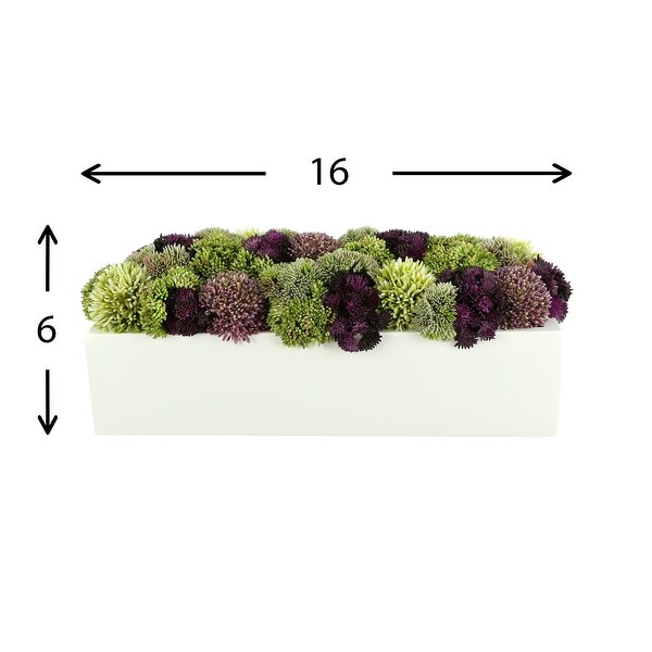 Sedum and Thistle Arranged in Rectangular Planter