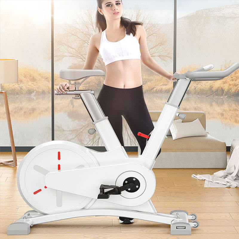 JW Quality Assurance Indoor Fitness Equipment Home Use Spin Bike Body Building Spinning Bike