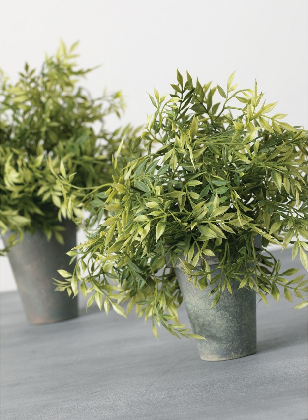 Sullivans Artificial  Set Of 2 Wisteria Potted 12h and 10h Green