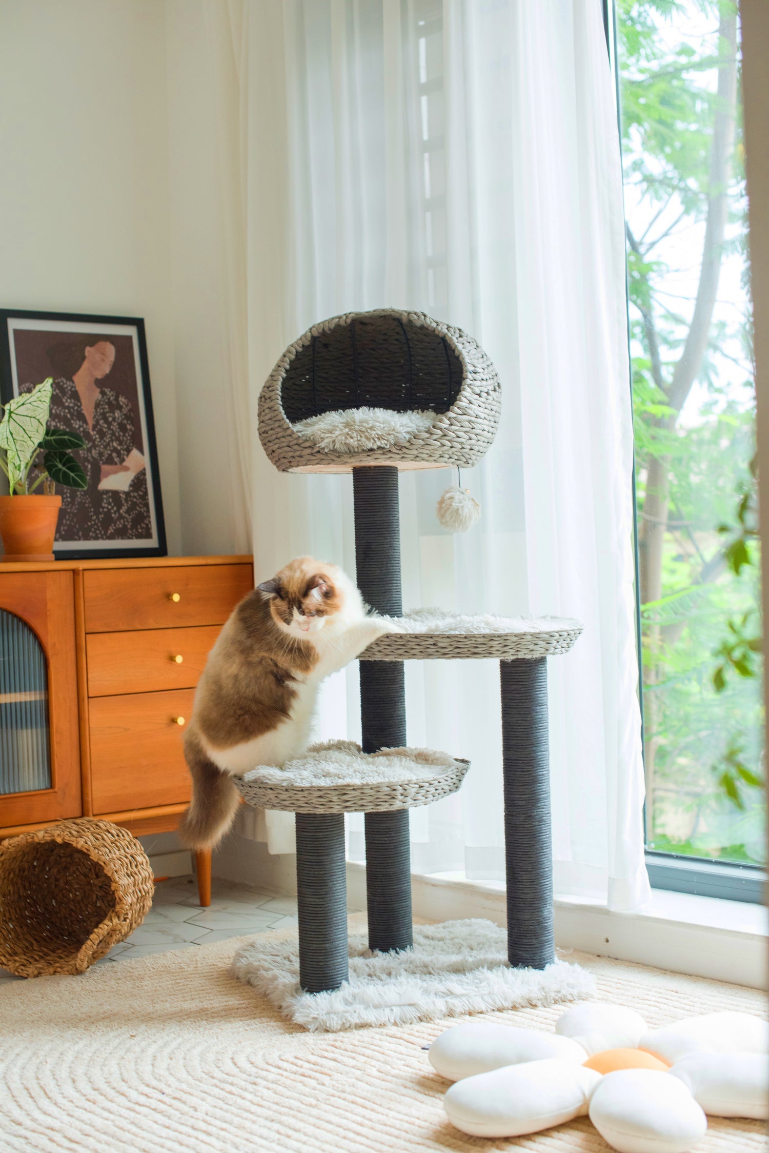 PetPals 50" Gray 4-Level Cat Tree Scratching Post Plush Perch and Basket with Shag Fur for Large Cat Climbing Cat Furniture Modern Play House Big Adult Cats w/ FREE cat teaser for Easter