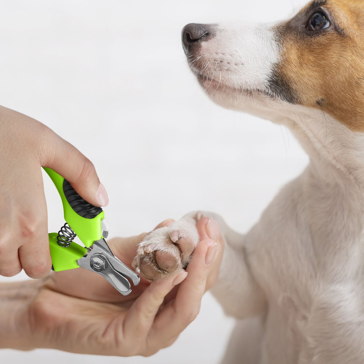 CONAIRPROPET Dog Nail Clippers