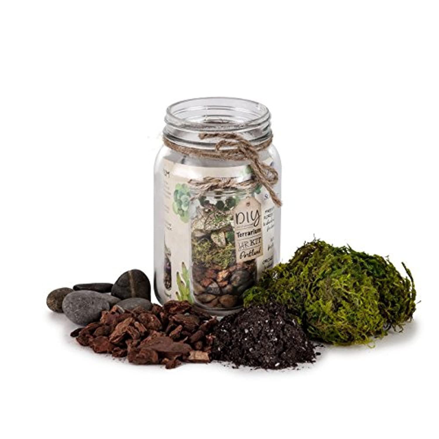 SuperMoss DIY Terrarium Jar Kit - Portland