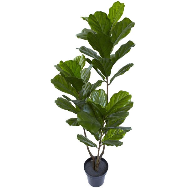 65inch Fiddle Leaf Tree UV Resistant (Indoor/Outdoor)