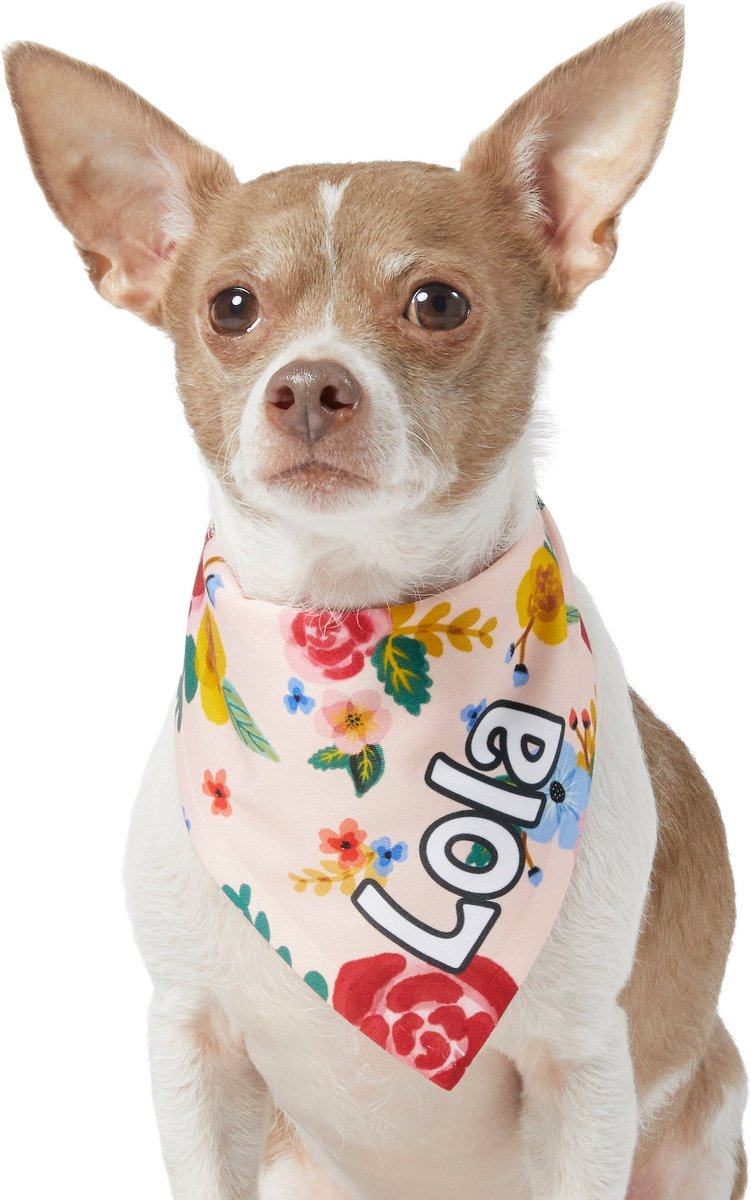 Frisco Floral Personalized Dog and Cat Bandana