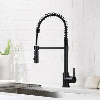 LUXIER Single-Handle Pull-Down Sprayer Kitchen Faucet with 2-Function Sprayhead in Matte Black KTS22-TM