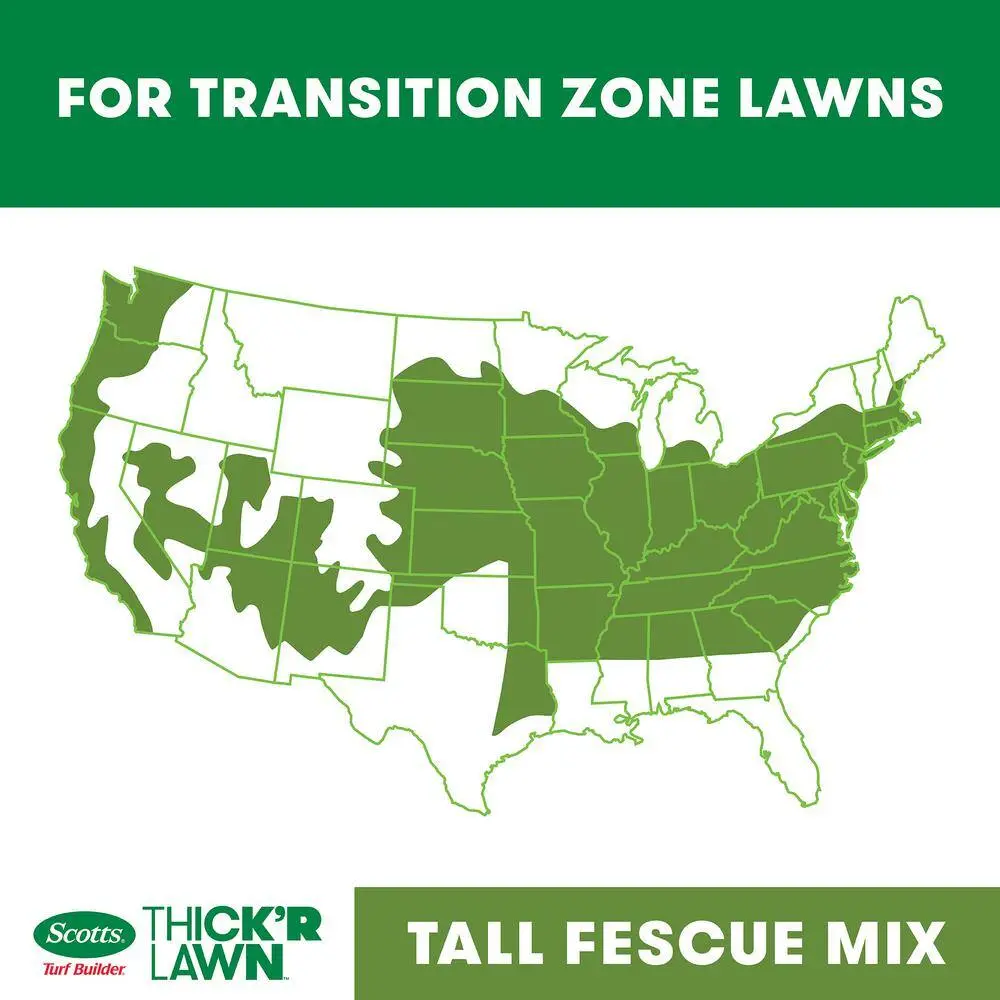 Scotts Turf Builder 40 lbs. 4000 sq. ft. THICK'R LAWN Grass Seed Fertilizer and Soil Improver for Tall Fescue