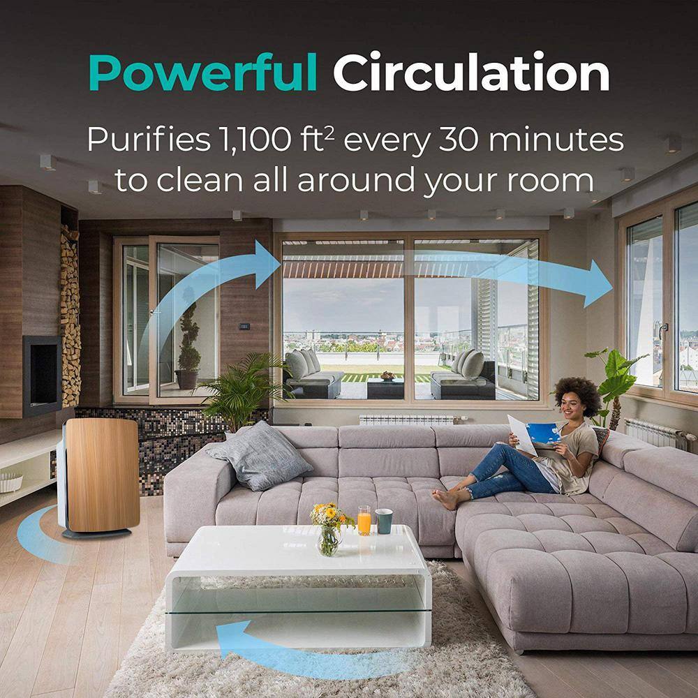 Alen BreatheSmart Classic Air Purifier with Fresh True HEPA Filter for Allergens Mold Germs and Odors 1100 sq. ft. 300102