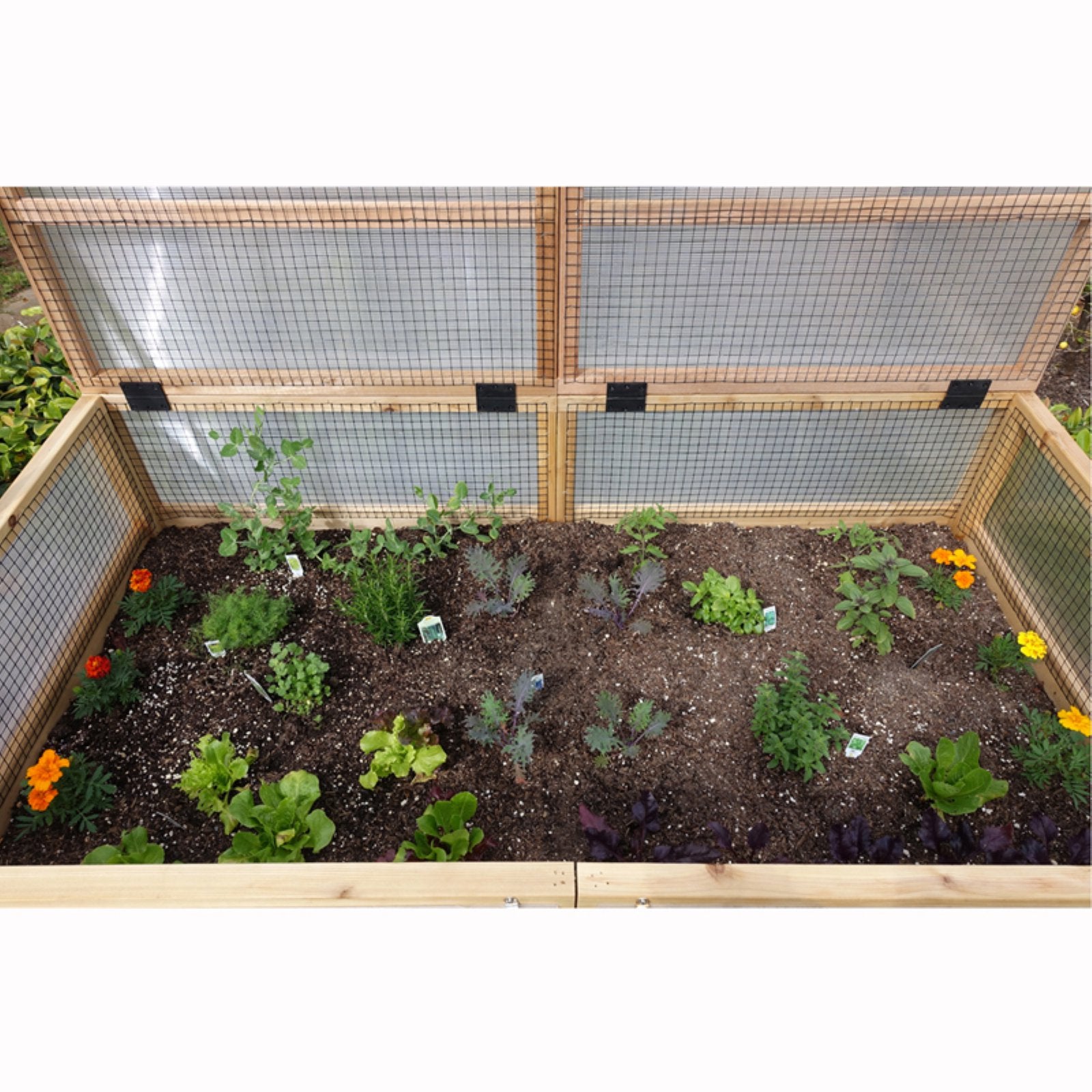 Outdoor Living Today Raised Cedar Garden Bed with Greenhouse Kit - 6 x 3 ft.