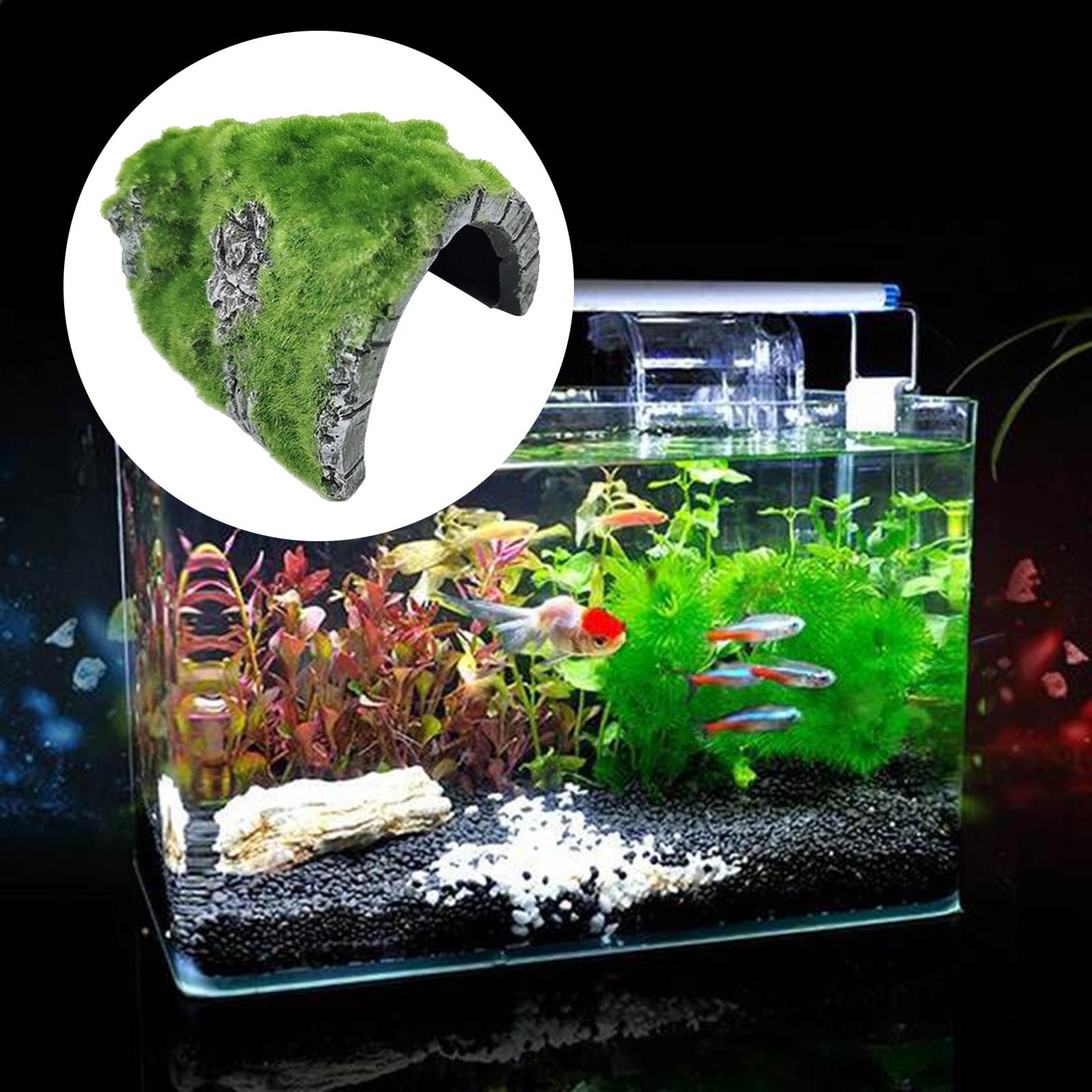 Reptile Hiding Cave Resin Material Natural Non- Hideout for Small Lizards Turtles Bearded Dragon Tortois Amphibians Fish Pet Supplies -