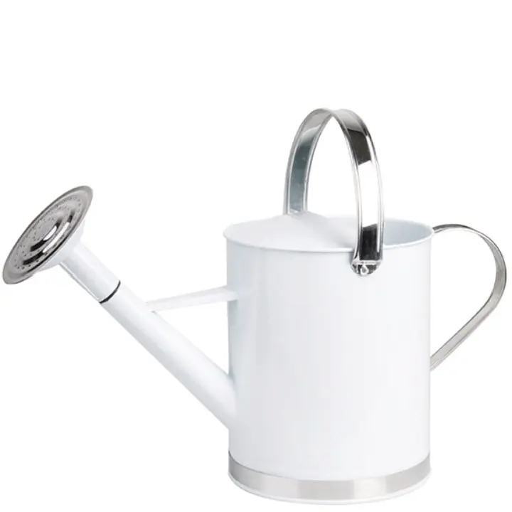 Hot Selling Home Garden Daily Usage Galvanized Water Can Iron Metal Unique Design Custom Shape Watering Can Supply By India