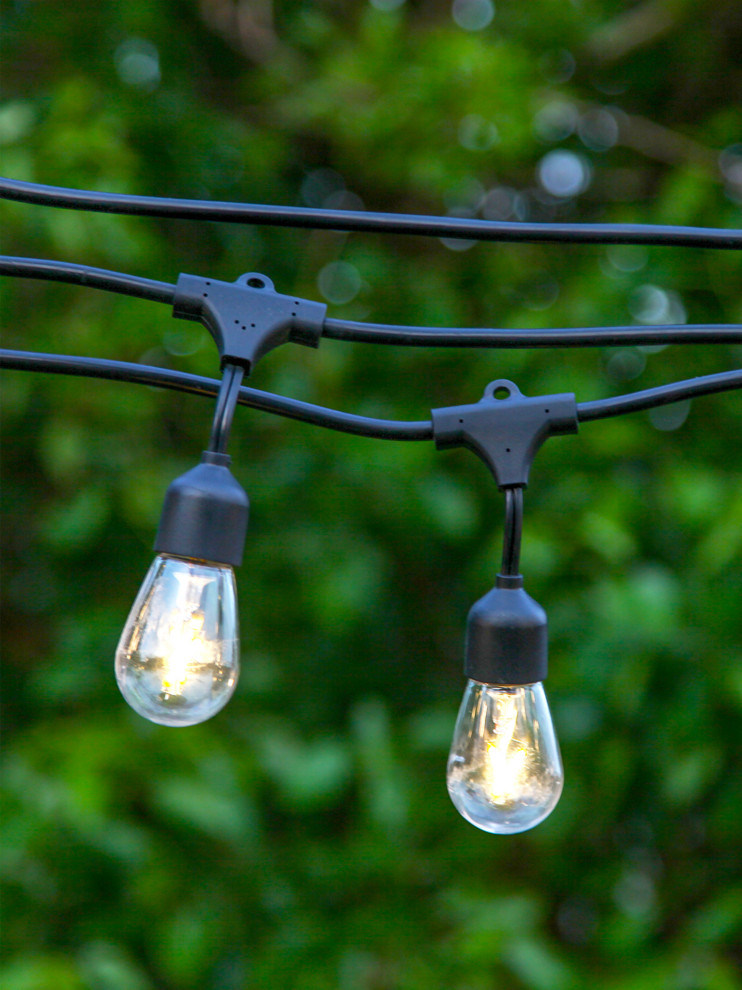 Brightech Ambience Pro Solar   3000K Soft White Hanging Filament Bulbs   Modern   Outdoor Rope And String Lights   by Brightech  Houzz