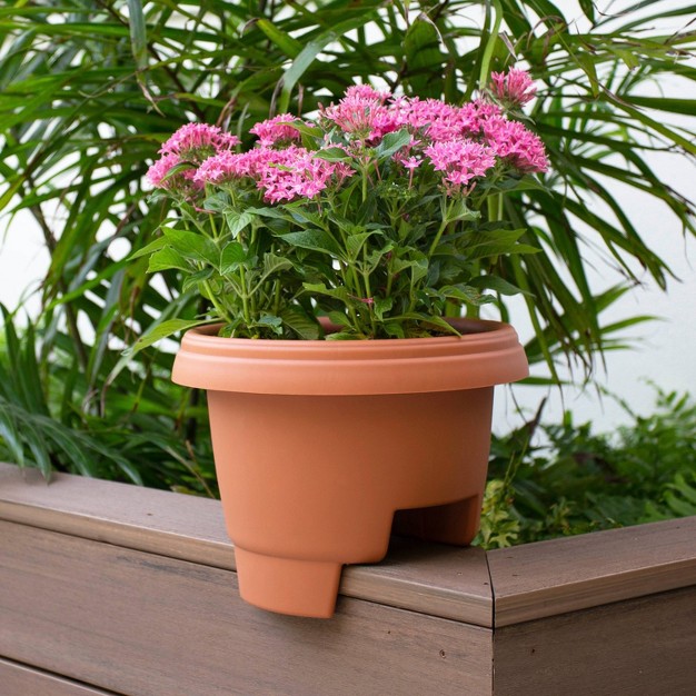 Wide Oval Balcony Rail Planter