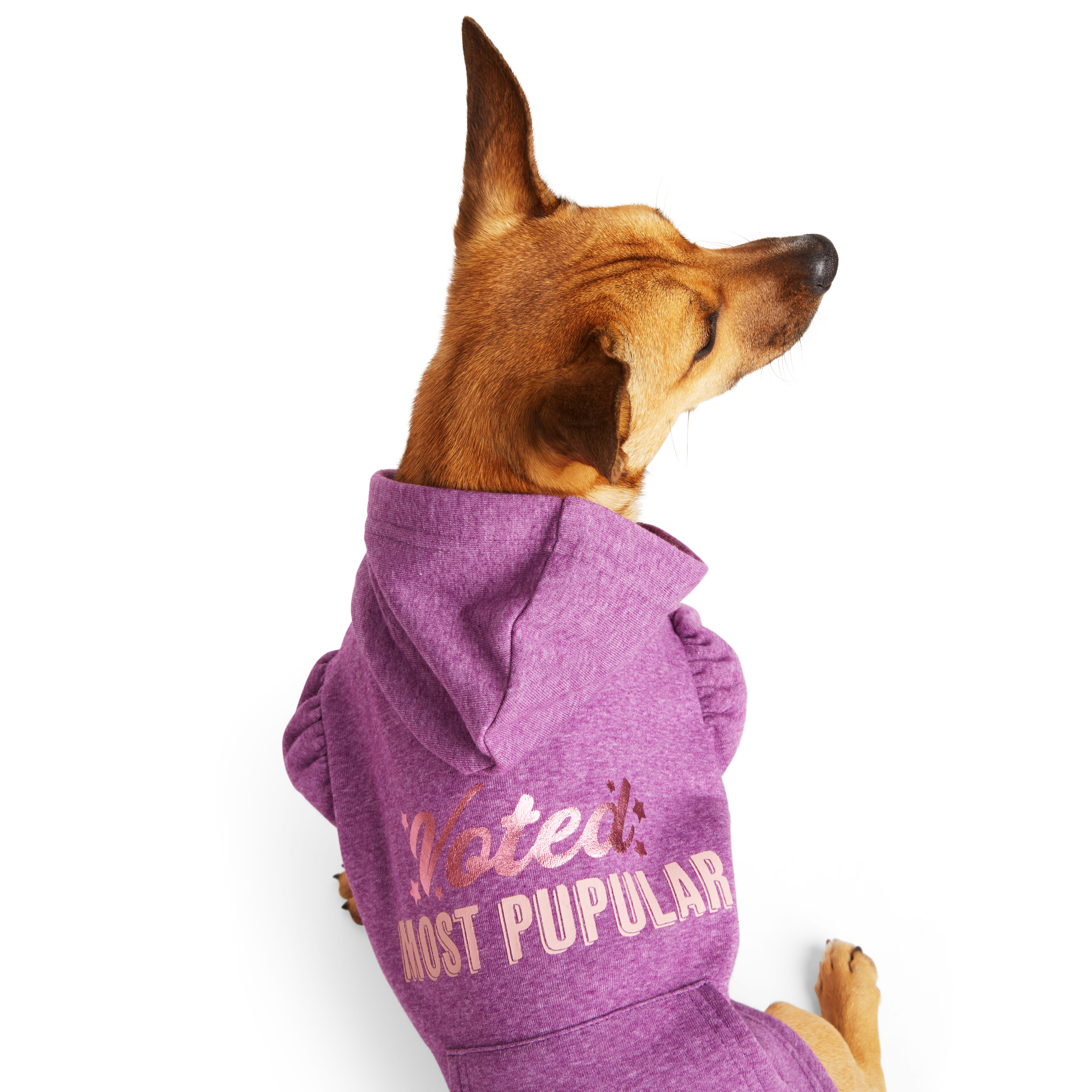 YOULY Most Pupular Dog Hoodie， XX-Small