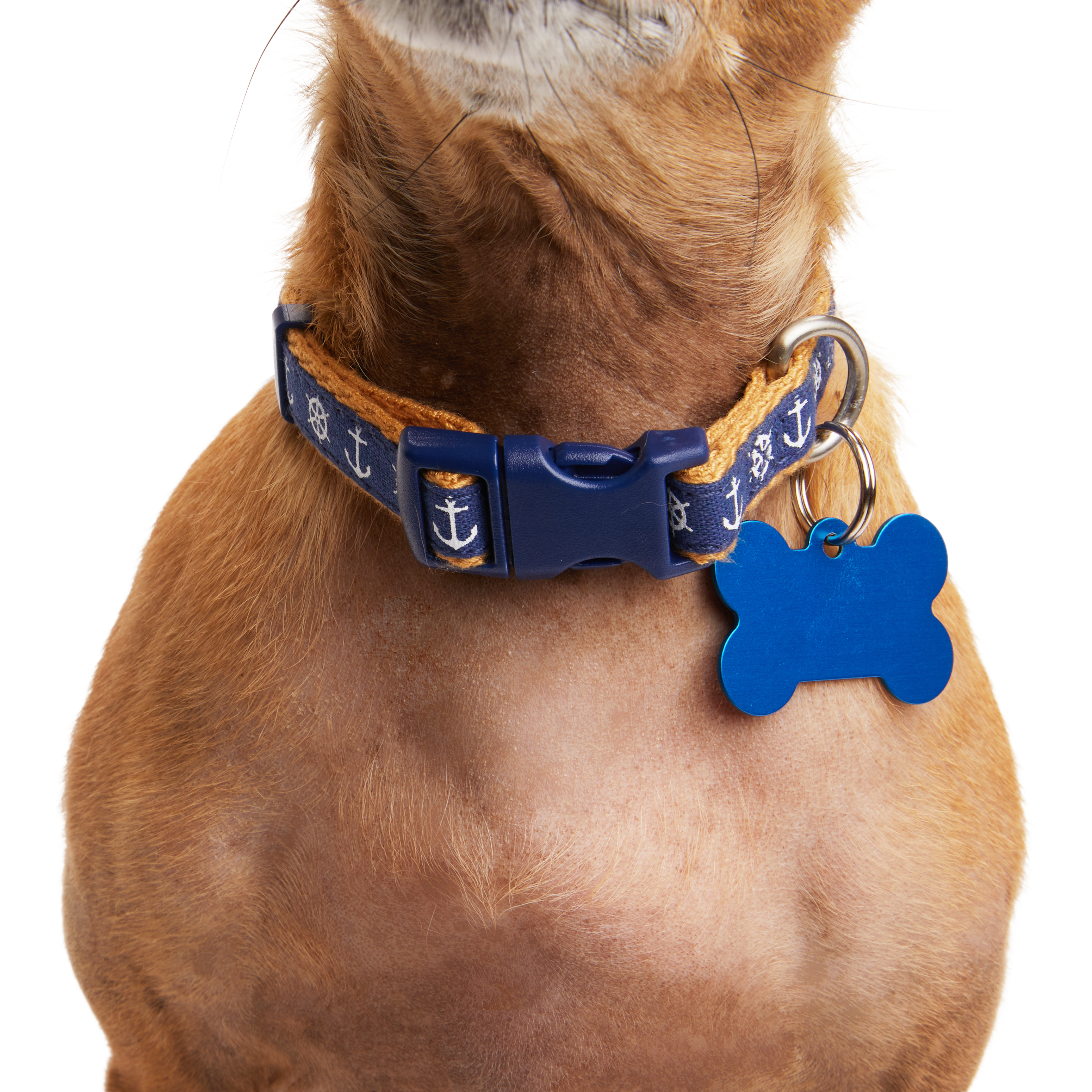 YOULY Anchor Small Dog Collar， XX-Small/X-Small