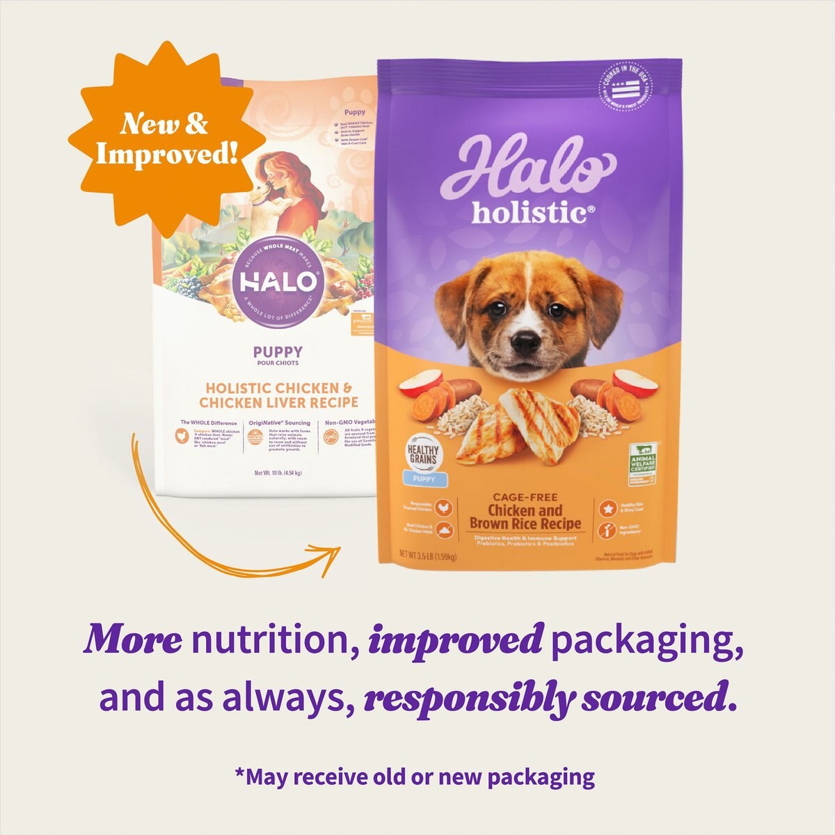 Halo Holistic Complete Digestive Health Chicken and Brown Rice Recipe Puppy Dry Dog Food