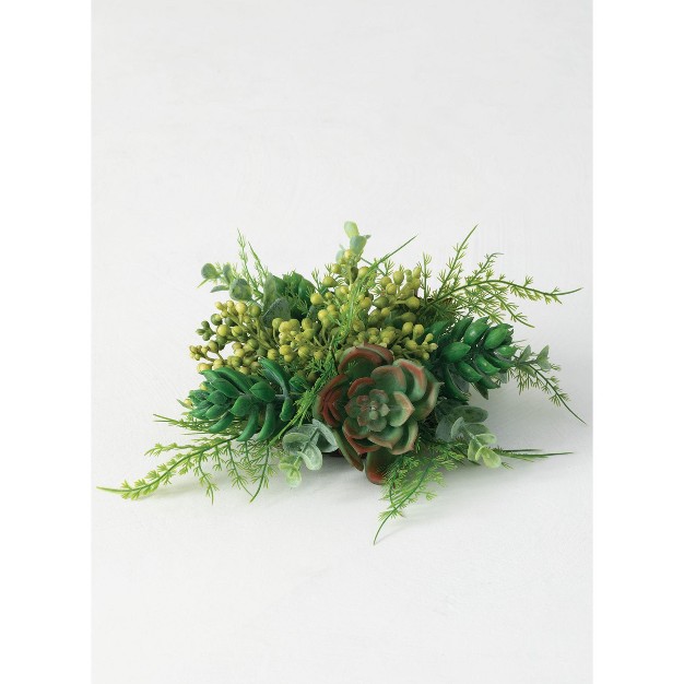 Sullivans Succulent 1/2 Orb Decorative Filler 4.5