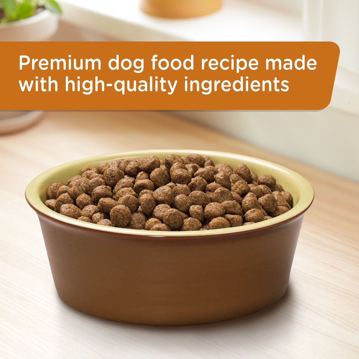 Rachael Ray Nutrish Real Turkey， Brown Rice and Venison Recipe Dry Dog Food