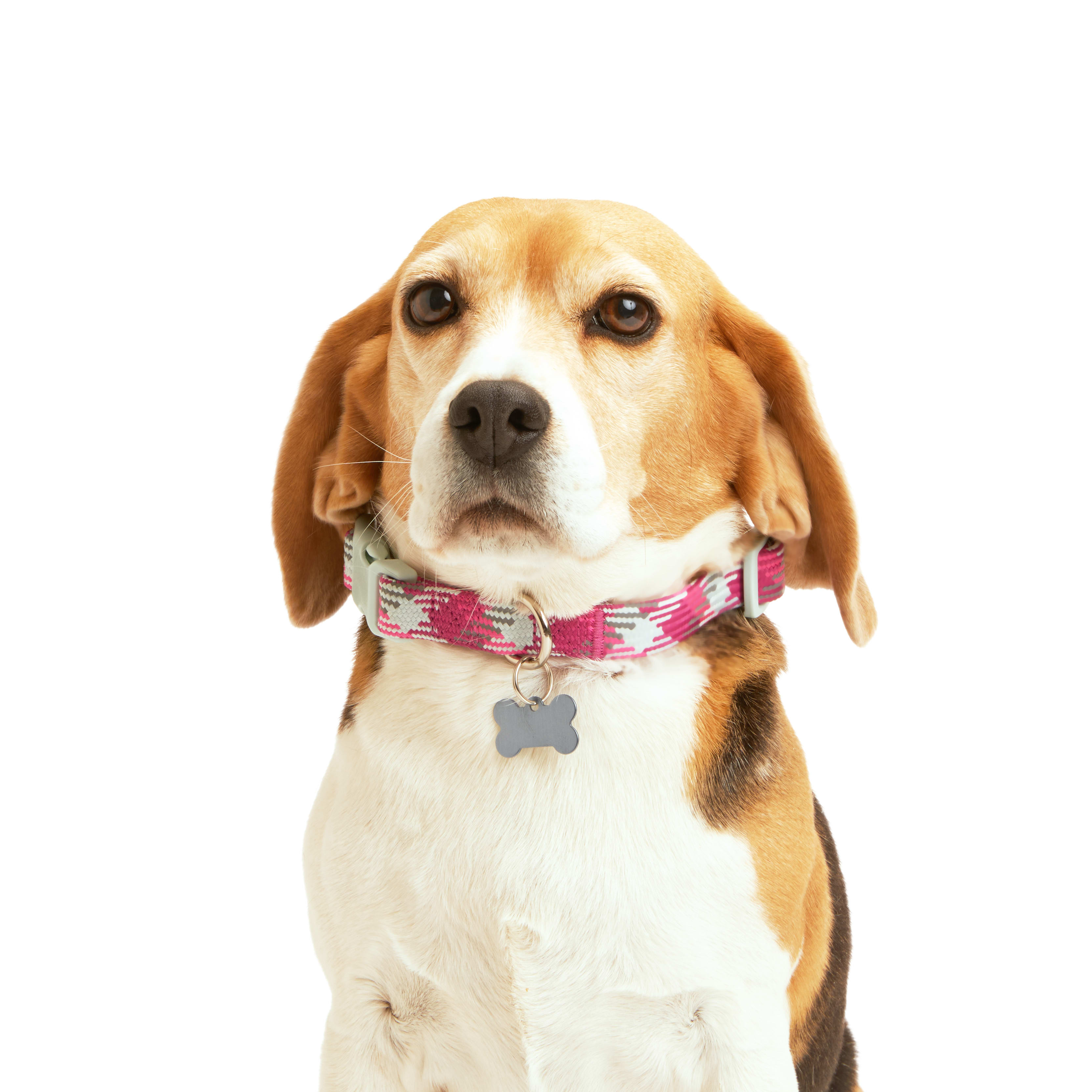 YOULY Pink Multicolored Reflective Dog Collar， Small