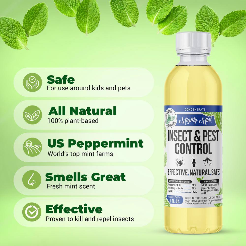 Mighty Mint 8 oz. Insect and Pest Control Peppermint Concentrate - Makes a Gallon - Natural Spray for Spiders Ants and More IC-8