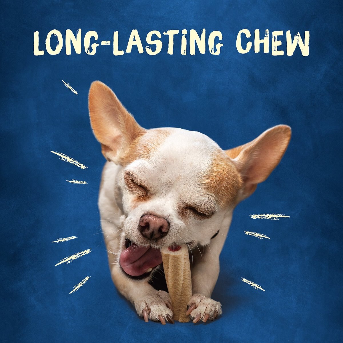 Purina Busy Bone Long-Lasting Real Meat Tiny Dog Treat