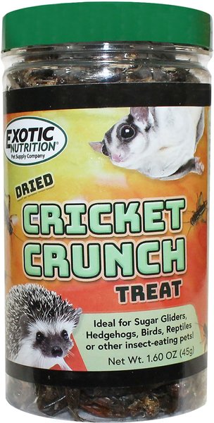 Exotic Nutrition Cricket Crunch Hedgehog Treats， 1.58-oz jar