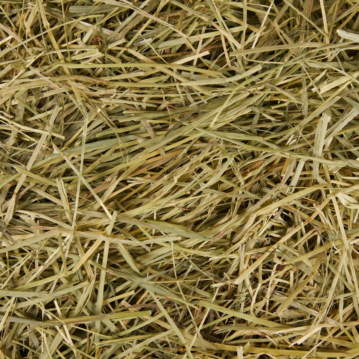 Frisco Small Pet Timothy Hay