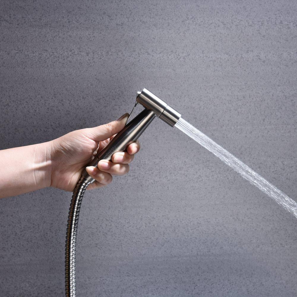 matrix decor Modern Single-Function Dual-Mount Handheld Bidet Sprayer in Stainless Steel MD-AL33401NC