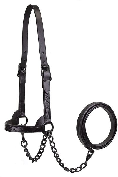 Derby Originals Premium Flat Fancy Stitch Leather Cattle Show Halter and Chain Lead， Black