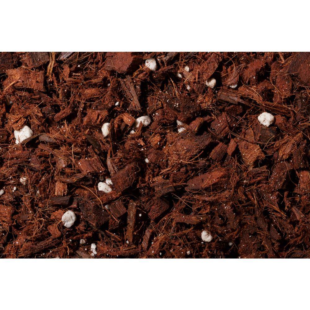 NOOT 4.8 qt. Organic Soilless Indoor Plant Potting Mix Coconut Chips Coco Coir Perlite Soaked with Plant Food .10 .15 .12 THE-MIX