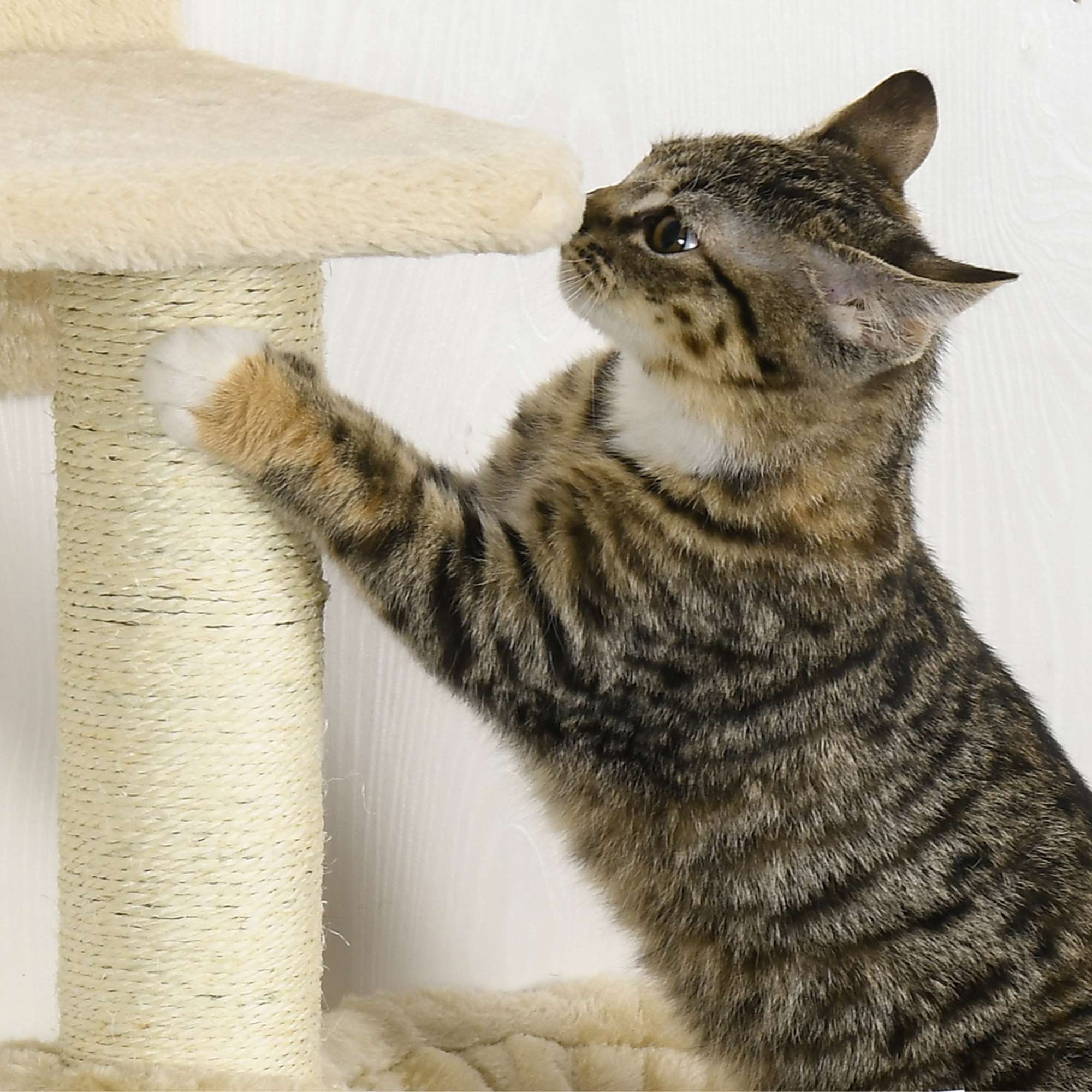 PawHut Wall-Mounted Cat Tree with Hammock for a Cute Cat Bed， Modern Cat Tree with Scratching Post and Cat Shelves， Climbing Playground Kitty Tower