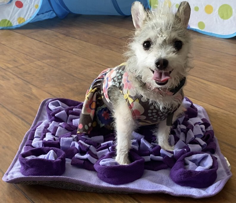 Piggy Poo and Crew Purple Snuffle Mat