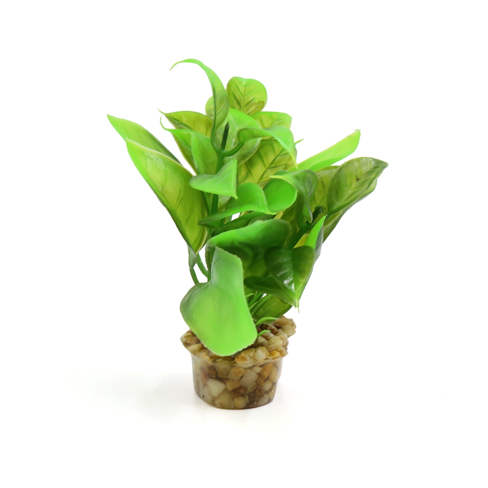 Green Plastic Mini Plant Terrarium Reptiles Habitat Decor Ornament w Stand