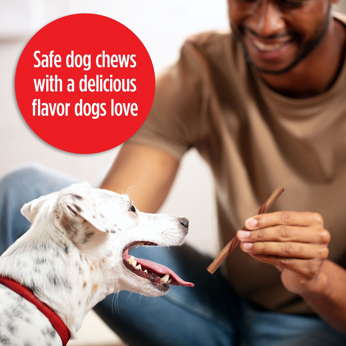 Milk-Bone Flavor Twists Chews What's Steak'n Bacon Dog Treats