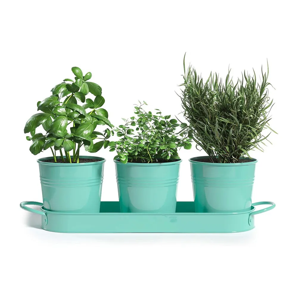 Wholesale colorful set of 3 herb pots metal flower planters pot decor garden succulent planters flower pot