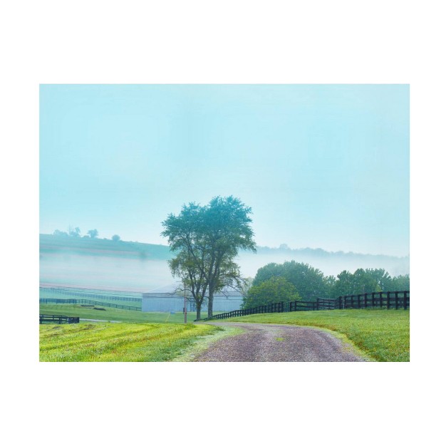 X 24 quot James Mcloughlin x27 farmscape Photo Vii x27 Unframed Canvas Art Trademark Fine Art