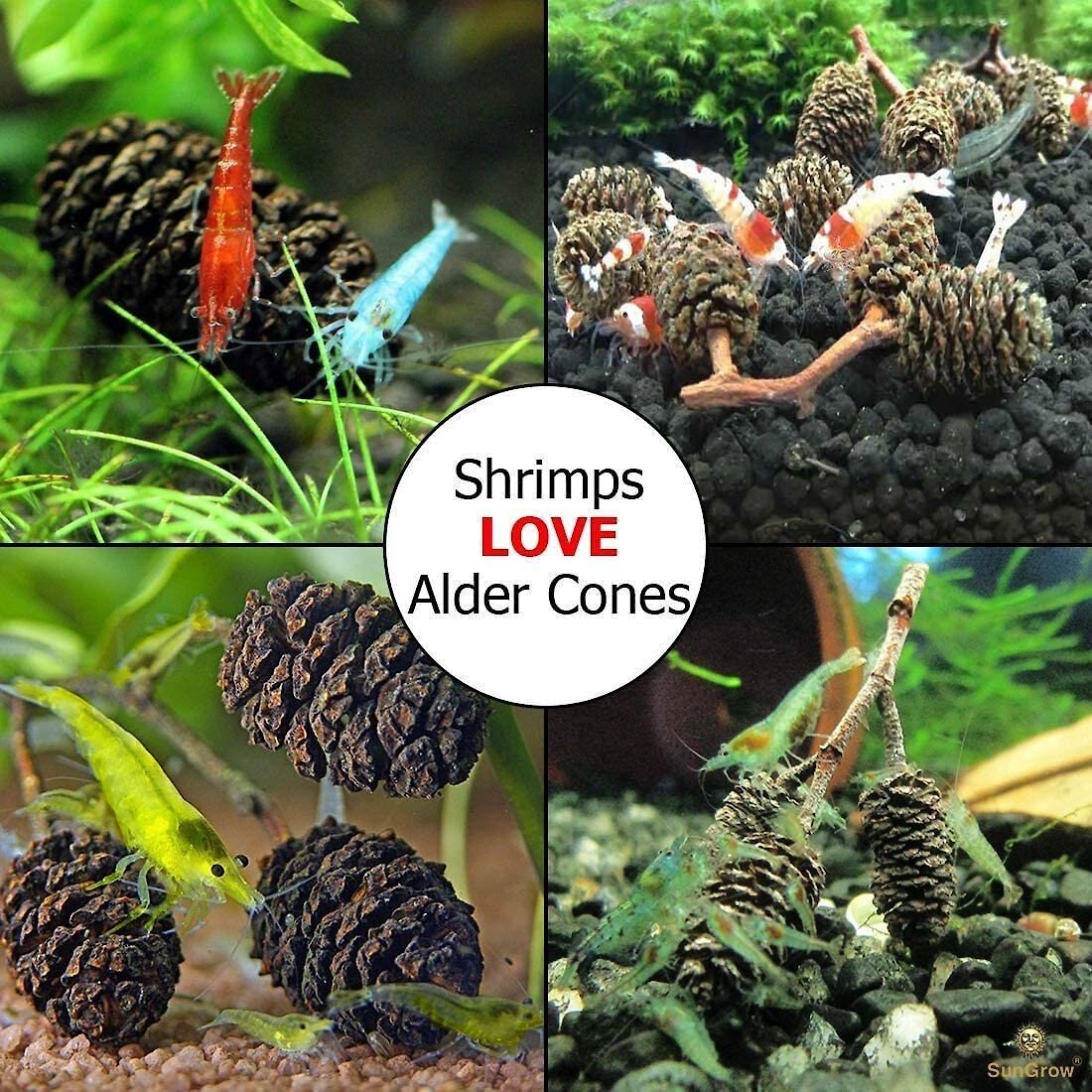 SunGrow Shrimp Breeding Aquarium Tank Water Conditioner and Food Alder Cones， 50 count