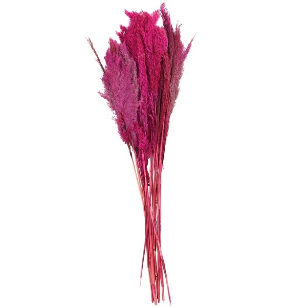 Pink Dried Plant Pampas Home Decor Natural Foliage with Long Stems